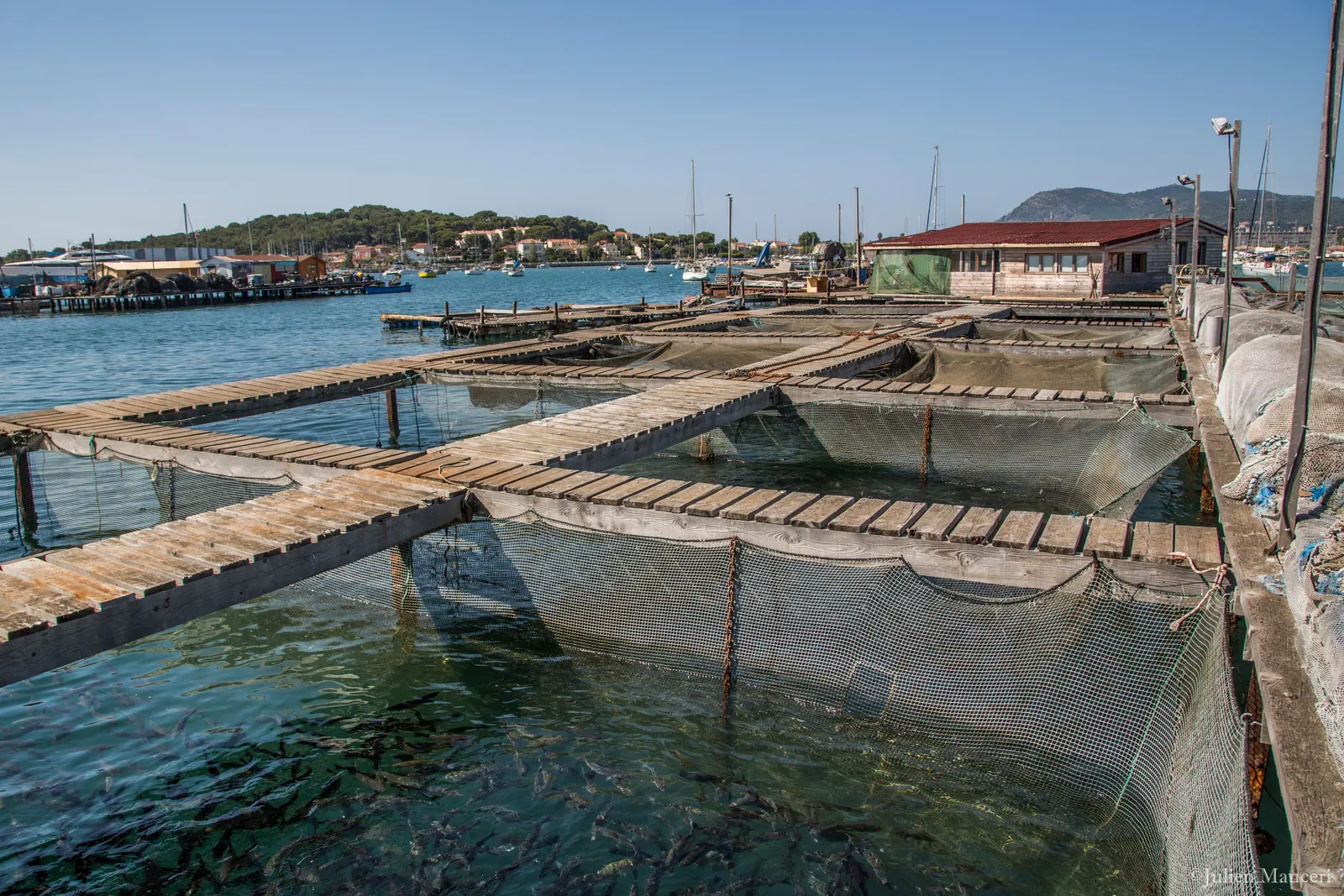 Les cages en mer de la ferme et la cabane sur pilotis, face à la rade