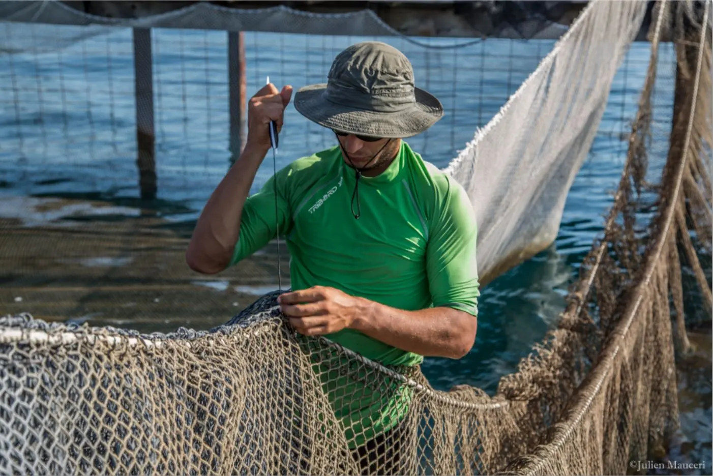 Un employé consolide à la main le filet d'une cage, sur le ponton