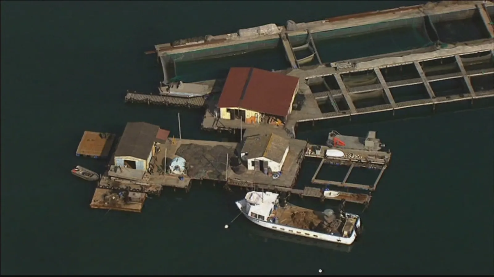 Vue aérienne de la ferme : pontons, cages en mer et cabane au milieu de la baie