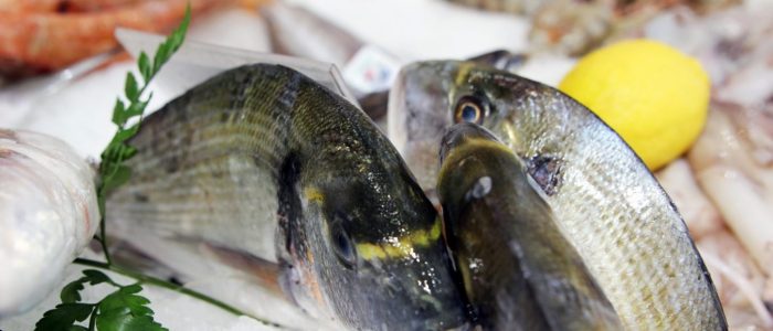 DORADE-ROYALE-scaled-1