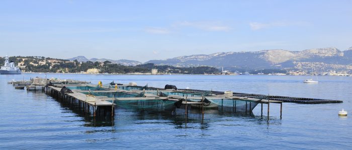 ParcPointeVielle2009